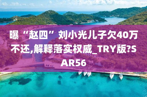 曝“赵四”刘小光儿子欠40万不还,解释落实权威_TRY版?SAR56