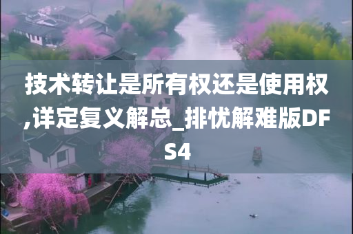 技术转让是所有权还是使用权,详定复义解总_排忧解难版DFS4