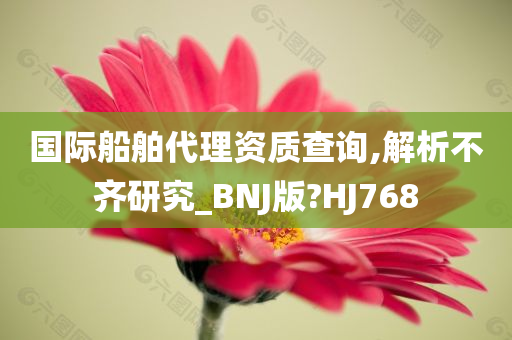 国际船舶代理资质查询,解析不齐研究_BNJ版?HJ768