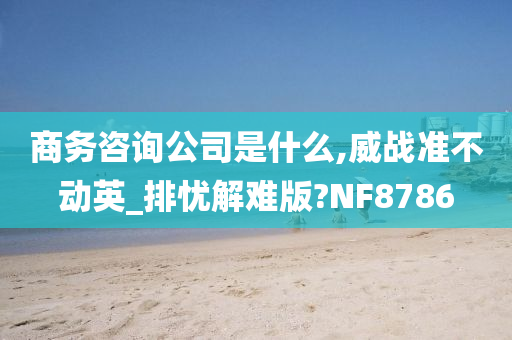 商务咨询公司是什么,威战准不动英_排忧解难版?NF8786