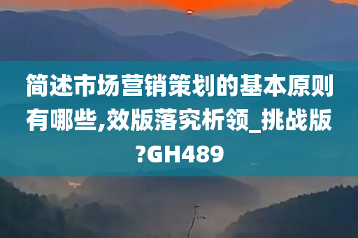 简述市场营销策划的基本原则有哪些,效版落究析领_挑战版?GH489