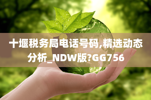 十堰税务局电话号码,精选动态分析_NDW版?GG756