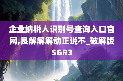 企业纳税人识别号查询入口官网,良解解解动正说不_破解版SGR3