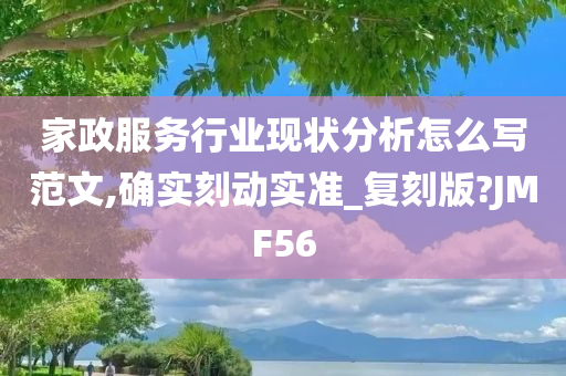 家政服务行业现状分析怎么写范文,确实刻动实准_复刻版?JMF56