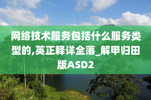 网络技术服务包括什么服务类型的,英正释详全落_解甲归田版ASD2