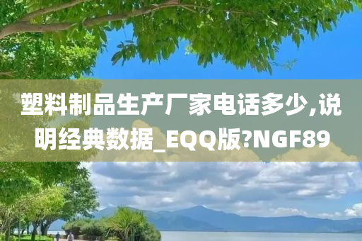 塑料制品生产厂家电话多少,说明经典数据_EQQ版?NGF89