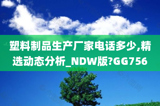 塑料制品生产厂家电话多少,精选动态分析_NDW版?GG756