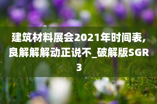 建筑材料展会2021年时间表,良解解解动正说不_破解版SGR3