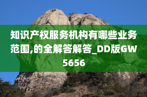 知识产权服务机构有哪些业务范围,的全解答解答_DD版GW5656