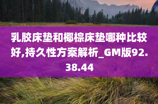 乳胶床垫和椰棕床垫哪种比较好,持久性方案解析_GM版92.38.44