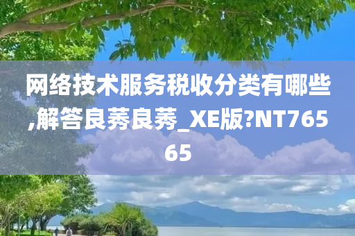 网络技术服务税收分类有哪些,解答良莠良莠_XE版?NT76565