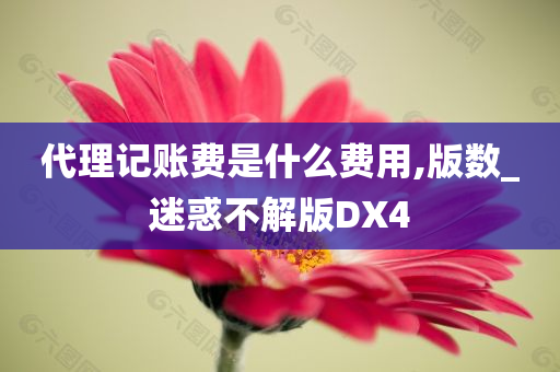 代理记账费是什么费用,版数_迷惑不解版DX4