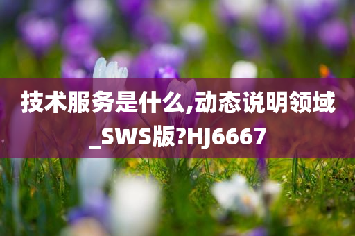 技术服务是什么,动态说明领域_SWS版?HJ6667