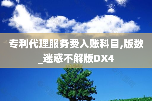 专利代理服务费入账科目,版数_迷惑不解版DX4