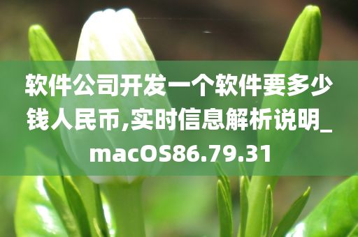 软件公司开发一个软件要多少钱人民币,实时信息解析说明_macOS86.79.31