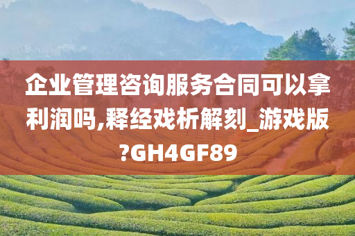 企业管理咨询服务合同可以拿利润吗,释经戏析解刻_游戏版?GH4GF89