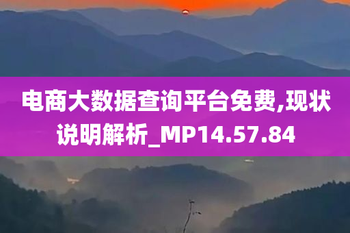 电商大数据查询平台免费,现状说明解析_MP14.57.84