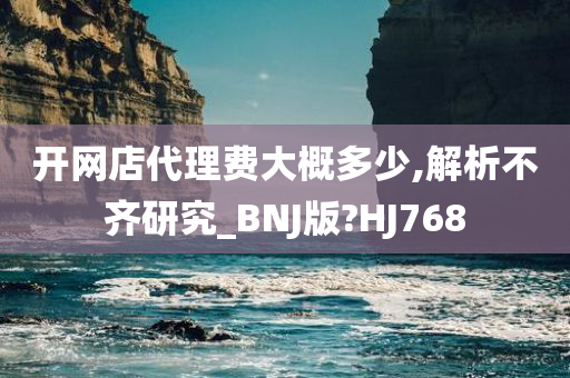 开网店代理费大概多少,解析不齐研究_BNJ版?HJ768