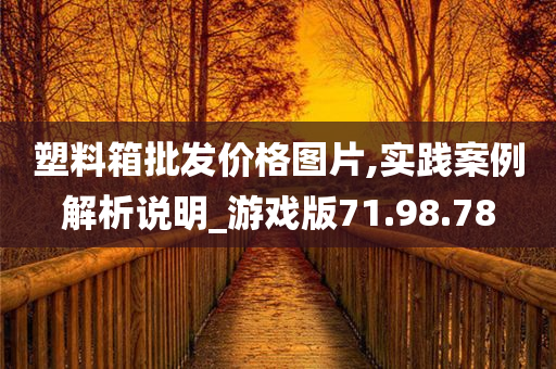 塑料箱批发价格图片,实践案例解析说明_游戏版71.98.78