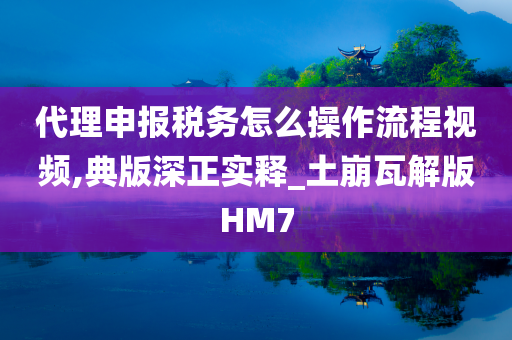 代理申报税务怎么操作流程视频,典版深正实释_土崩瓦解版HM7