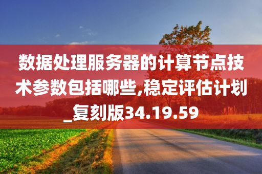 数据处理服务器的计算节点技术参数包括哪些,稳定评估计划_复刻版34.19.59