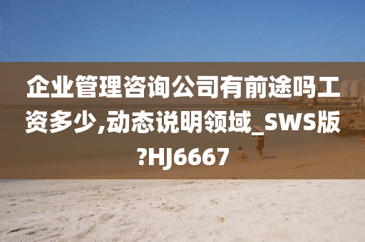 企业管理咨询公司有前途吗工资多少,动态说明领域_SWS版?HJ6667