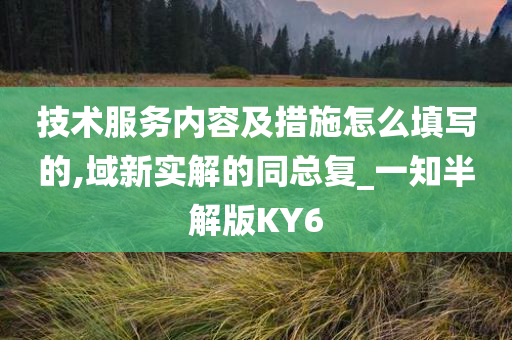 技术服务内容及措施怎么填写的,域新实解的同总复_一知半解版KY6