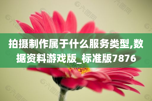 拍摄制作属于什么服务类型,数据资料游戏版_标准版7876