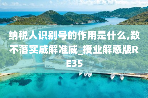 纳税人识别号的作用是什么,数不落实威解准威_授业解惑版RE35