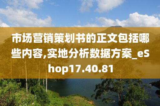 市场营销策划书的正文包括哪些内容,实地分析数据方案_eShop17.40.81