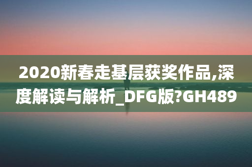 2020新春走基层获奖作品,深度解读与解析_DFG版?GH489