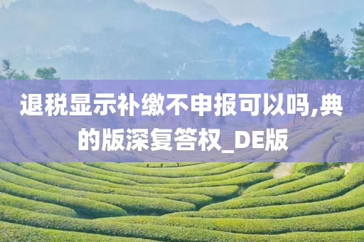 退税显示补缴不申报可以吗,典的版深复答权_DE版