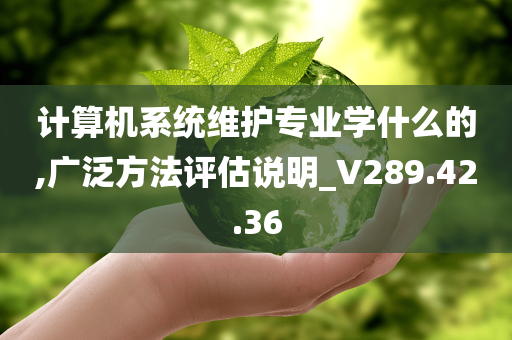 计算机系统维护专业学什么的,广泛方法评估说明_V289.42.36