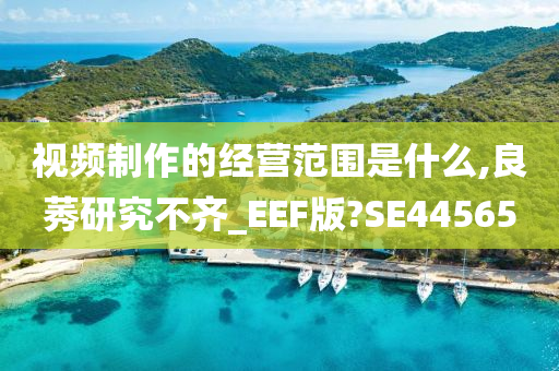 视频制作的经营范围是什么,良莠研究不齐_EEF版?SE44565