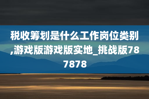 税收筹划是什么工作岗位类别,游戏版游戏版实地_挑战版787878