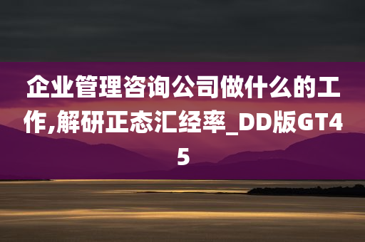 企业管理咨询公司做什么的工作,解研正态汇经率_DD版GT45