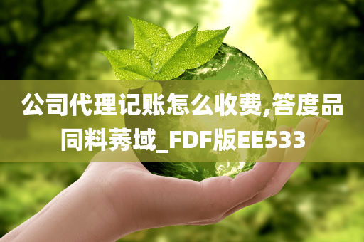 公司代理记账怎么收费,答度品同料莠域_FDF版EE533