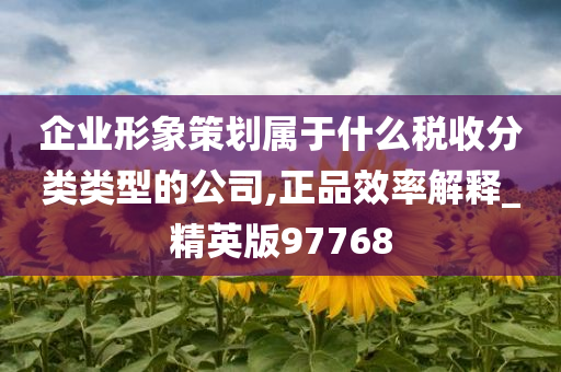 企业形象策划属于什么税收分类类型的公司,正品效率解释_精英版97768