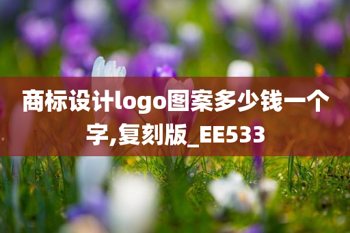 商标设计logo图案多少钱一个字,复刻版_EE533