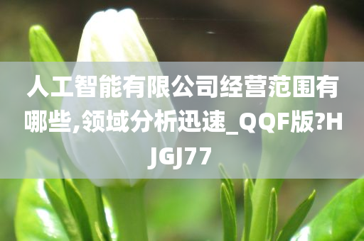 人工智能有限公司经营范围有哪些,领域分析迅速_QQF版?HJGJ77