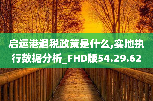 启运港退税政策是什么,实地执行数据分析_FHD版54.29.62