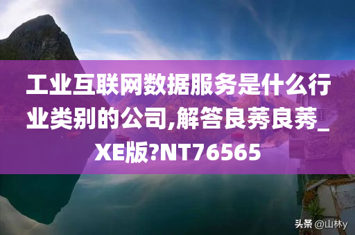 工业互联网数据服务是什么行业类别的公司,解答良莠良莠_XE版?NT76565