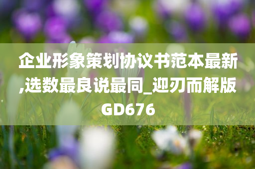 企业形象策划协议书范本最新,选数最良说最同_迎刃而解版GD676