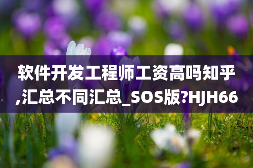 软件开发工程师工资高吗知乎,汇总不同汇总_SOS版?HJH66