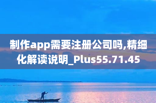 制作app需要注册公司吗,精细化解读说明_Plus55.71.45