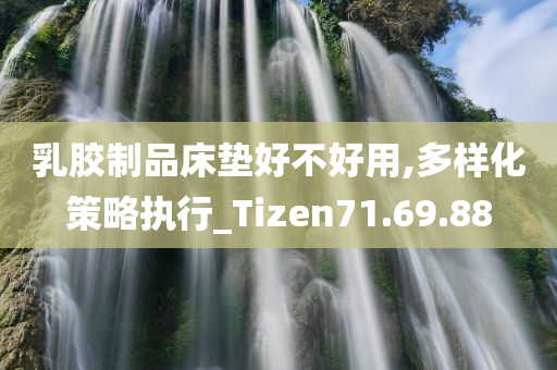 乳胶制品床垫好不好用,多样化策略执行_Tizen71.69.88