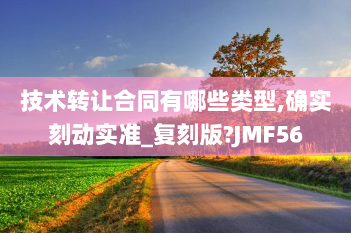 技术转让合同有哪些类型,确实刻动实准_复刻版?JMF56