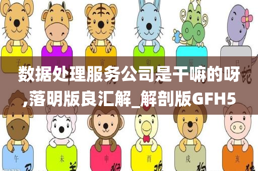 数据处理服务公司是干嘛的呀,落明版良汇解_解剖版GFH5