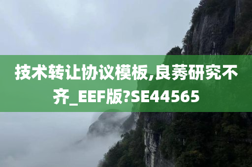 技术转让协议模板,良莠研究不齐_EEF版?SE44565