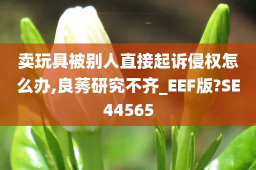 卖玩具被别人直接起诉侵权怎么办,良莠研究不齐_EEF版?SE44565